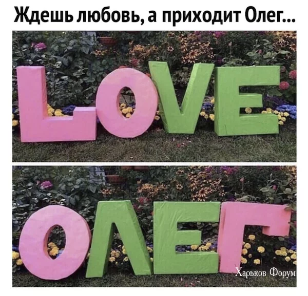 21e4c73ece634f6c0b50e.webp