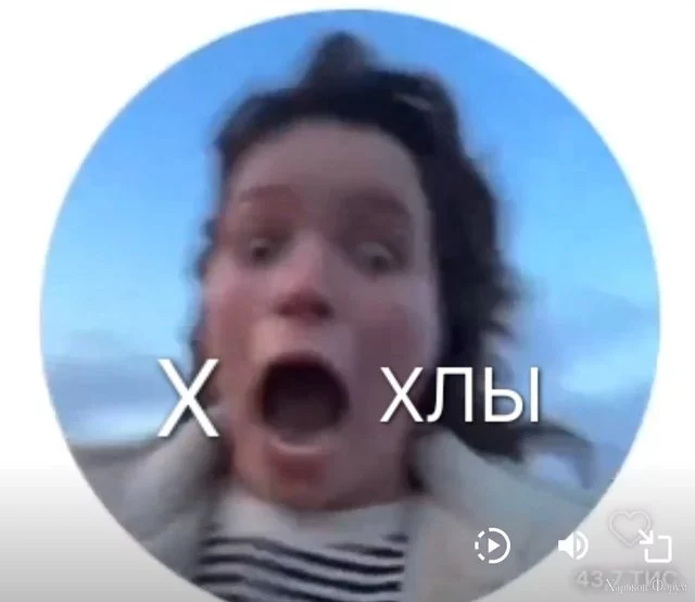 22 (1).webp