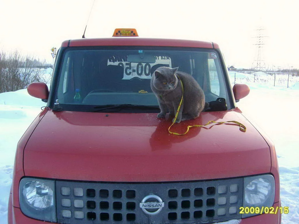 220-15.02.09_004.webp