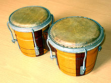 220px-Bongo.jpg