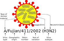 220px-Influenza_nomenclature.svg.webp