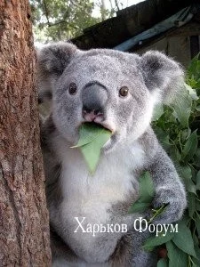22270d7811d24fad5.webp