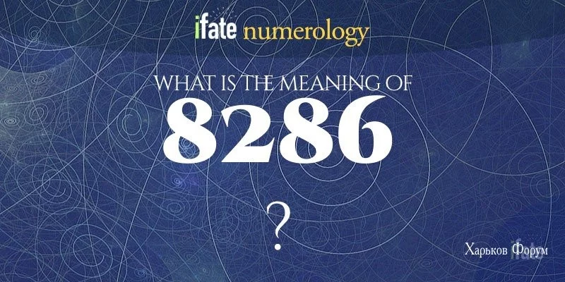 222978425758d65e13e.webp