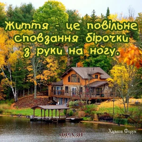 22322ae054f24fbfc0fec98e.webp