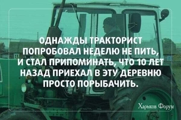 22452bf29dd6f359af.webp