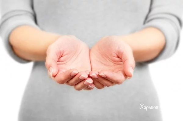 22526fc459666cc1e7d17979.webp