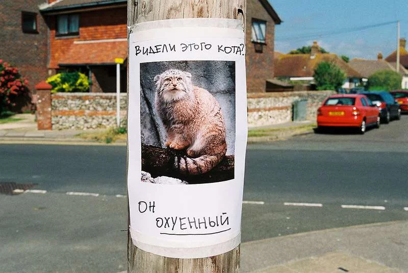 22579.webp