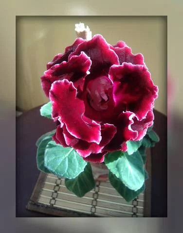 2258661_m.webp