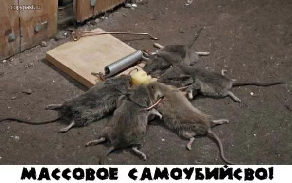 22634327_samoubici_001.webp