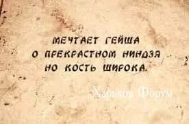 2265dfc993ef57fc25df68c5.webp