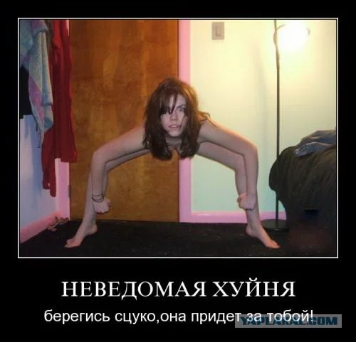 2271415.webp