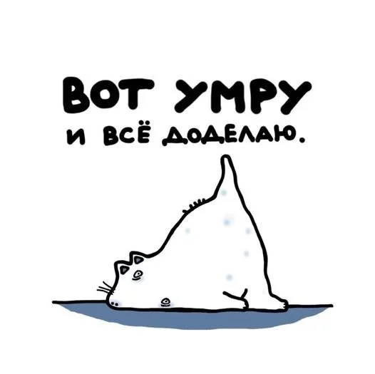 227387121cc0a7a3e74871.webp