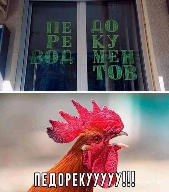 2281337e752f6df674274c6.webp