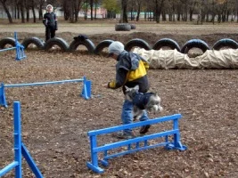 228419-157dd-25683694-h200.webp