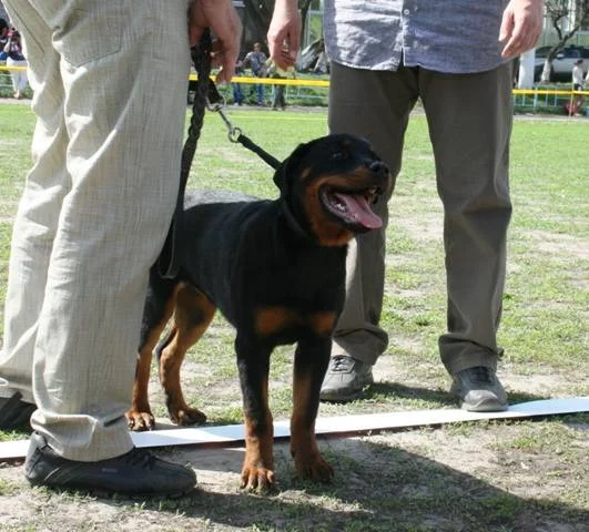 2284307_m.webp