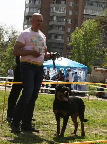 2284332_m.webp