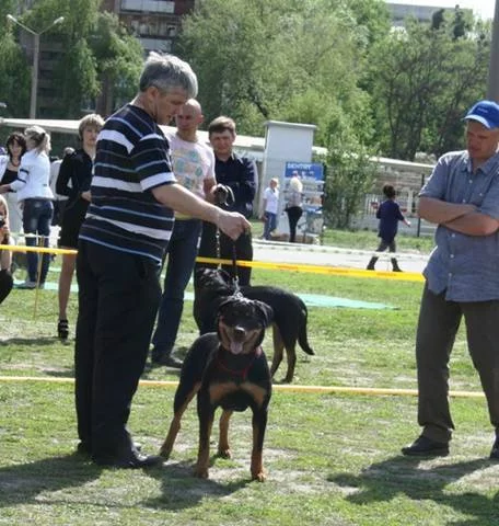 2284353_m.webp
