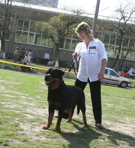 2284358_m.webp