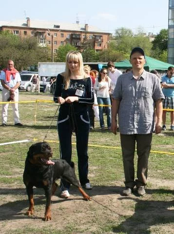 2284359_m.webp