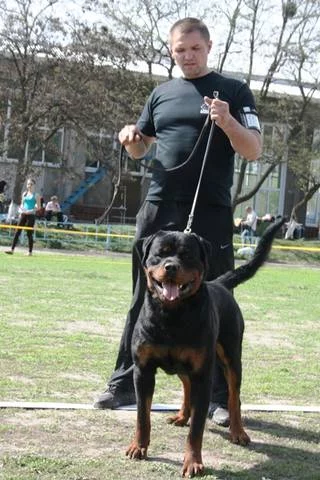 2284360_m.webp