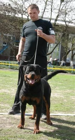 2284361_m.webp