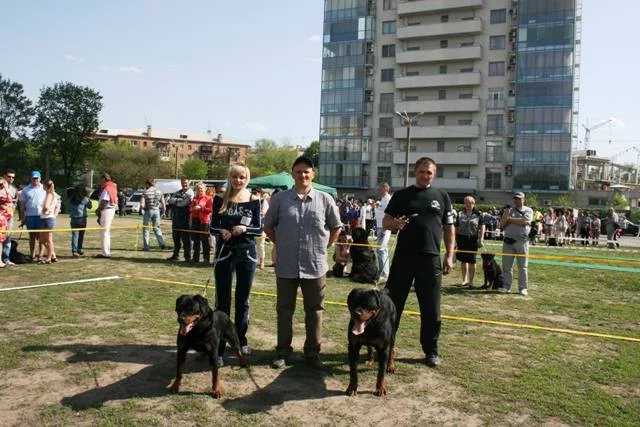 2284373_m.webp