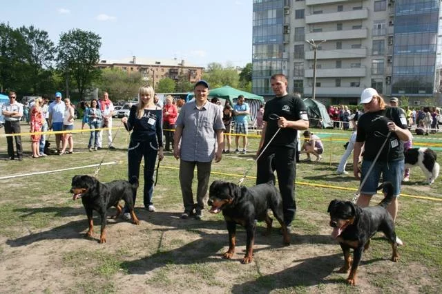 2284379_m.webp