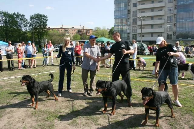 2284380_m.webp