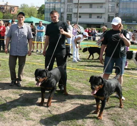 2284384_m.webp
