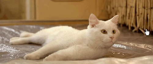 2289914_original.gif