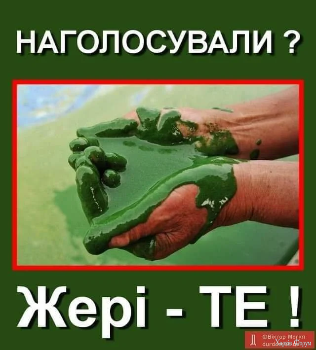 229.webp
