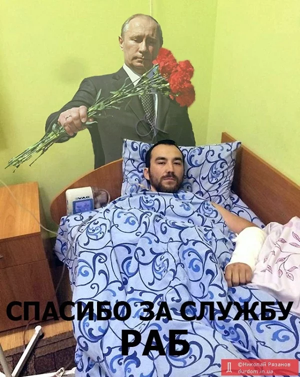 2294_556021b98b4d4.webp