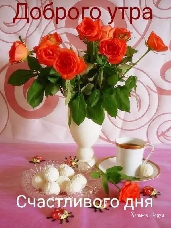 229afafff8be888cf3503.webp