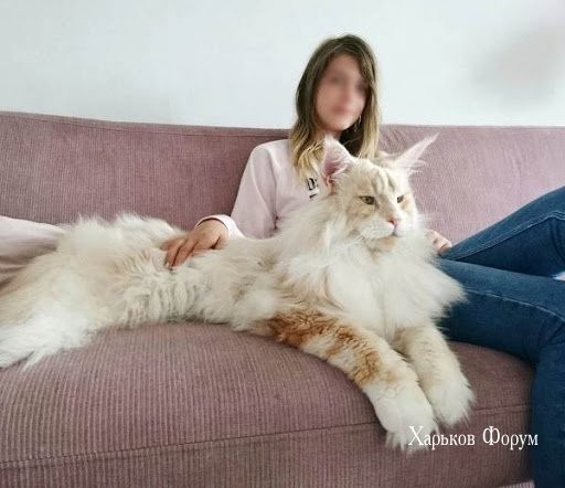 22a6d8ec265be9ba31dce6d2.jpg