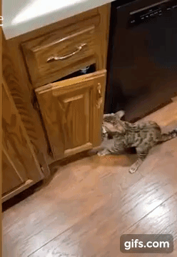 22b683c1a50f4352.gif