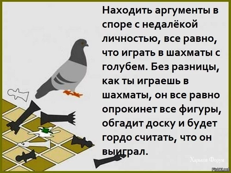 22c280594926130ce766.webp