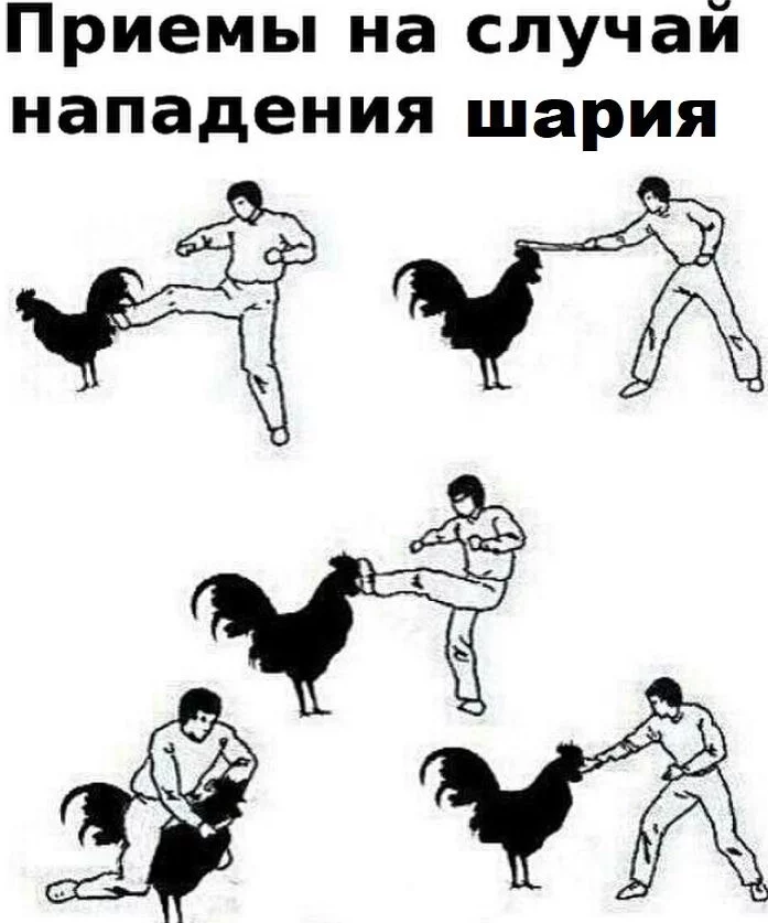 22f55d9d6ddb5e1742aeaa4a31a7b64a.webp