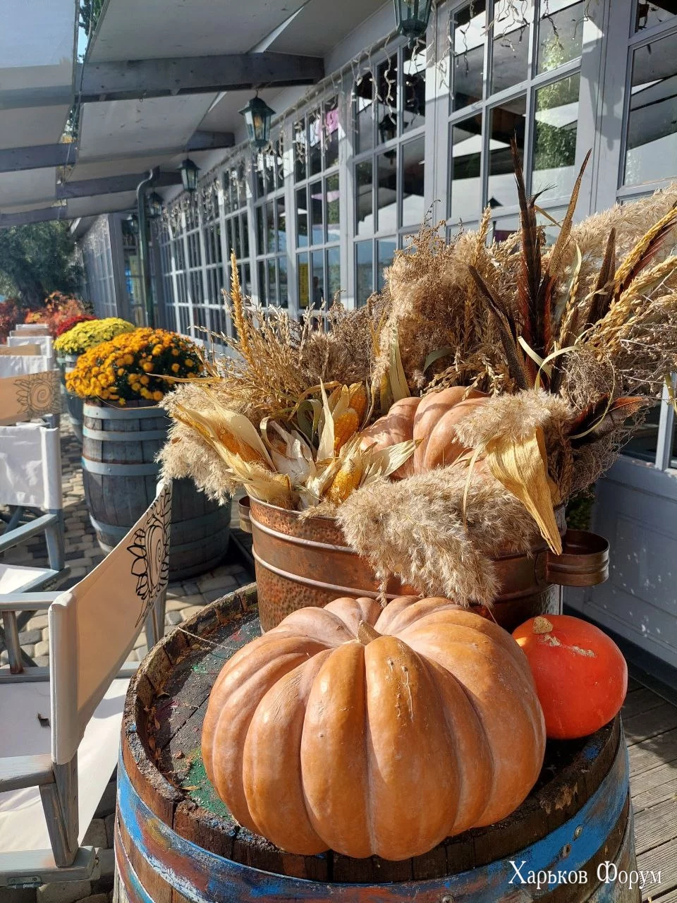 -23 колосся.webp