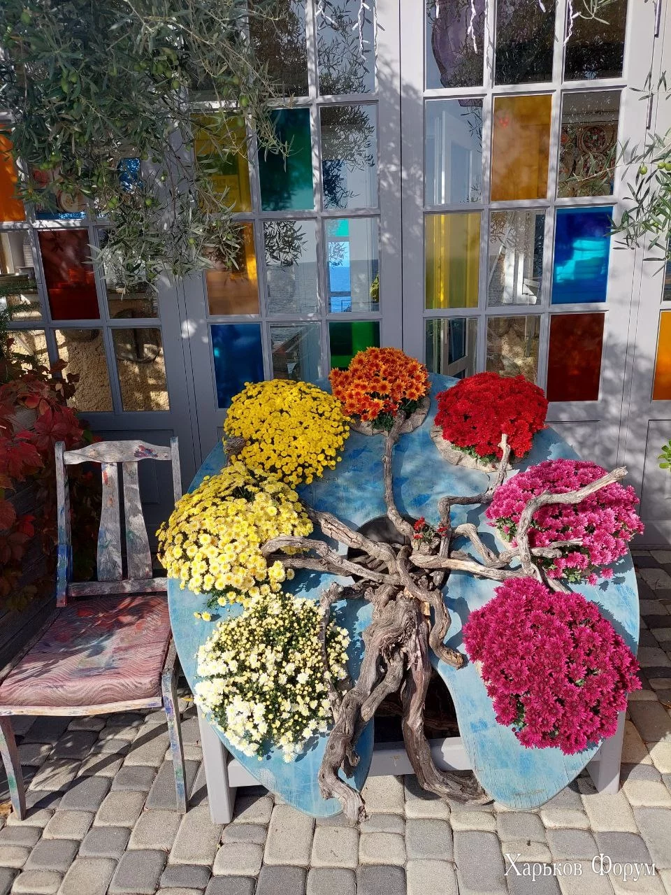 -23 різнобарв..webp