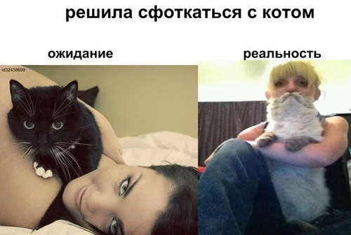 230279.webp