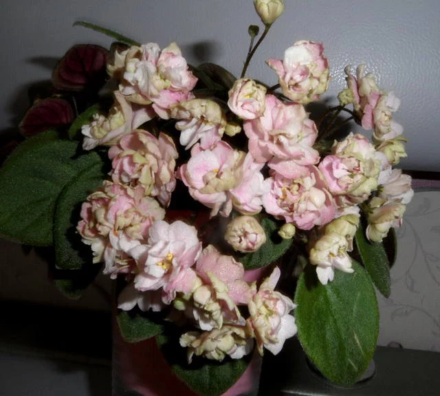 2303010_m.webp