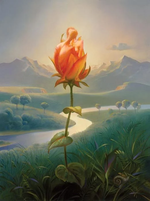 23154261_67713.webp