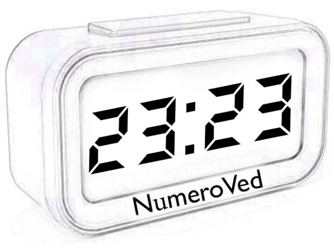 2323.webp
