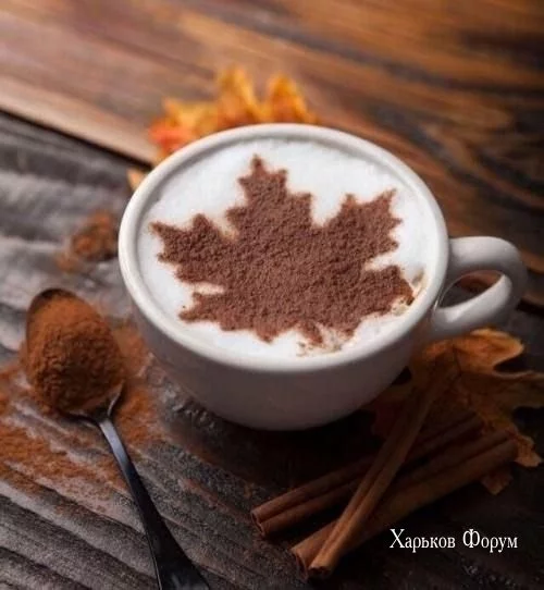 23247c9c9e5af41ef763c530.webp