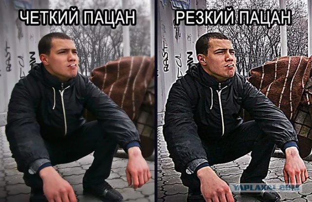 2325082.webp
