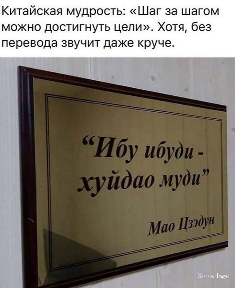 2327aa711f2fe6f513cfa49.webp