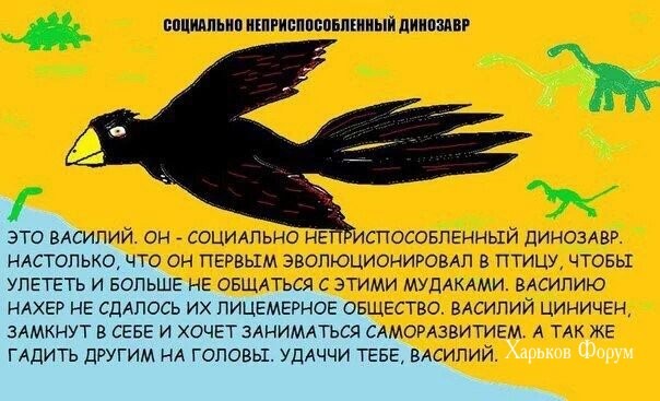 232bd33df997a68debc9.jpg