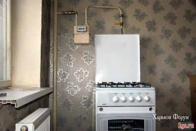 2330d92800cffdf1818f2.webp