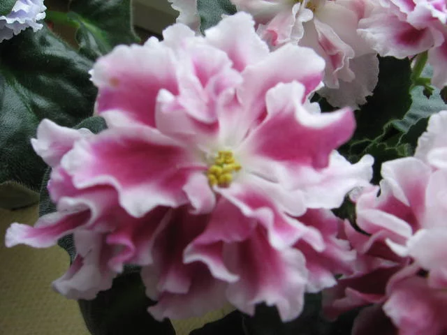 2339787_m.webp