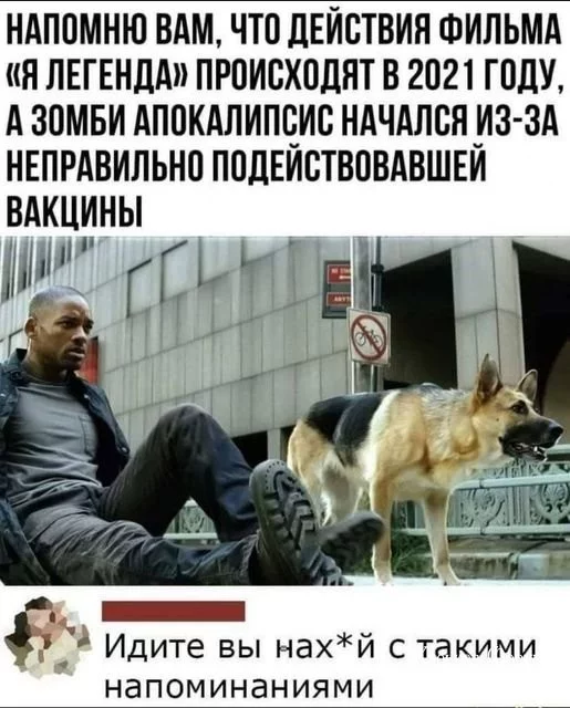 2343423ab6987c406.webp